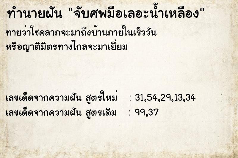 ทำนายฝันจับศพมือเลอะน้ำเหลือง ทำนายฝันทำนายฝันจับศพมือเลอะน้ำเหลือง