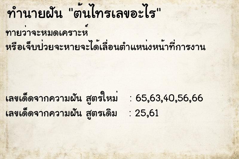 ทำนายฝันทำนายฝันต้นไทรเลขอะไร