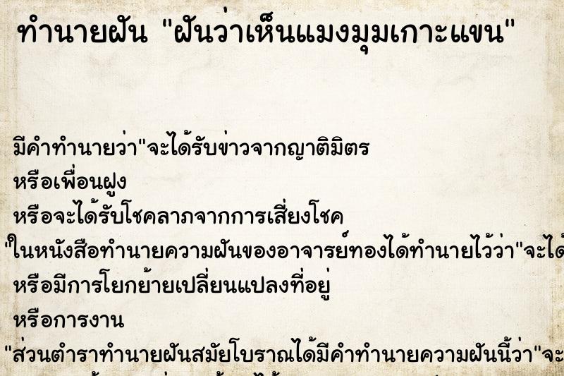ทำนายฝัน ฝันว่าเห็นแมงมุมเกาะแขน ทำนายฝัน ฝันว่าเห็นแมงมุมเกาะแขน