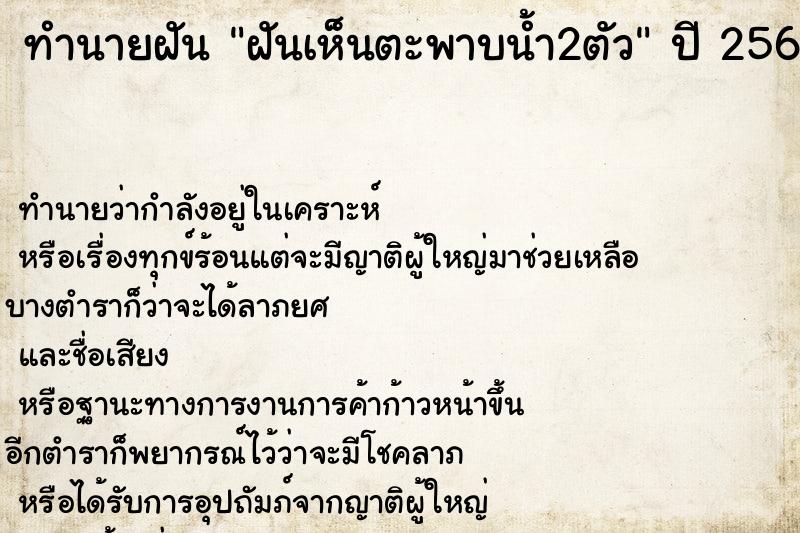 ทำนายฝันฝันเห็นตะพาบน้ำ2ตัว ทำนายฝันทำนายฝันฝันเห็นตะพาบน้ำ2ตัว