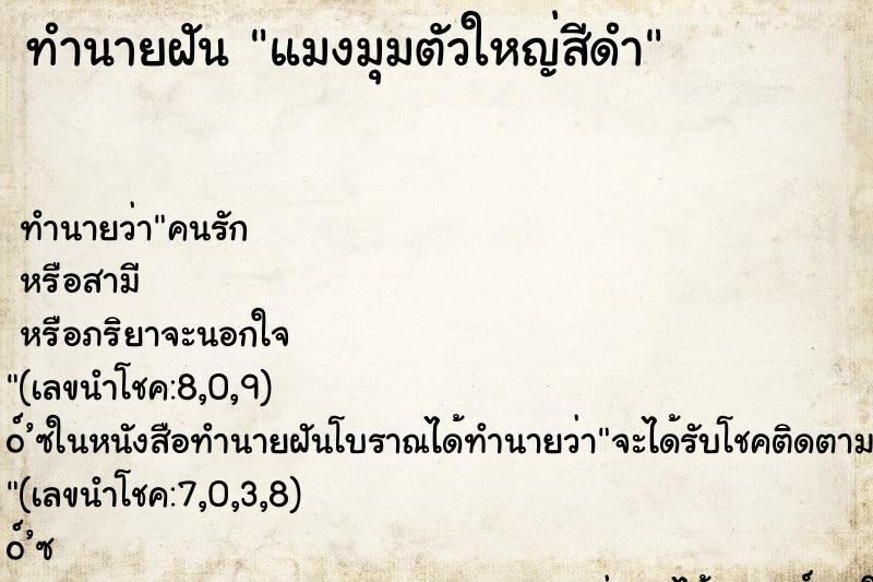 ทำนายฝันทำนายฝันแมงมุมตัวใหญ่สีดำ