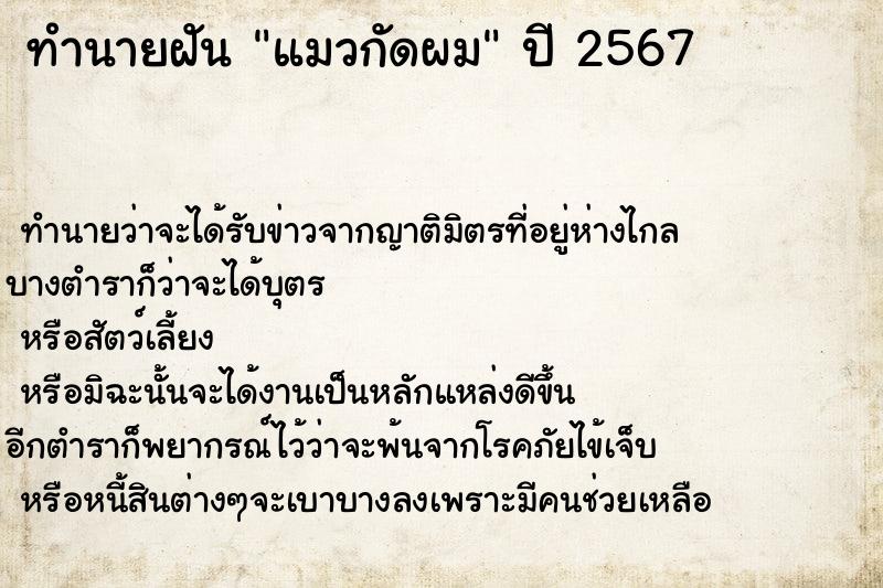 ทำนายฝัน แมวกัดผม ทำนายฝัน แมวกัดผม