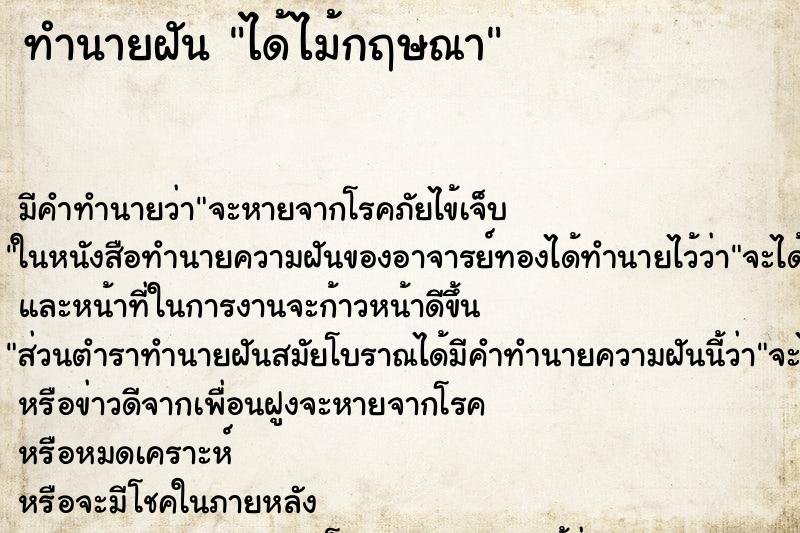 ทำนายฝัน ได้ไม้กฤษณา ทำนายฝัน ได้ไม้กฤษณา