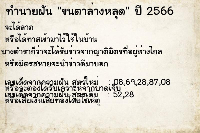ทำนายฝันขนตาล่างหลุด ทำนายฝันทำนายฝันขนตาล่างหลุด