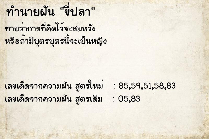 ทำนายฝันขี่ปลา ทำนายฝันทำนายฝันขี่ปลา