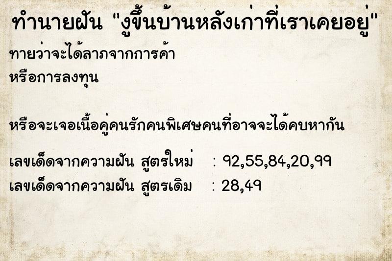 ทำนายฝันงูขึ้นบ้านหลังเก่าที่เราเคยอยู่ ทำนายฝันทำนายฝันงูขึ้นบ้านหลังเก่าที่เราเคยอยู่