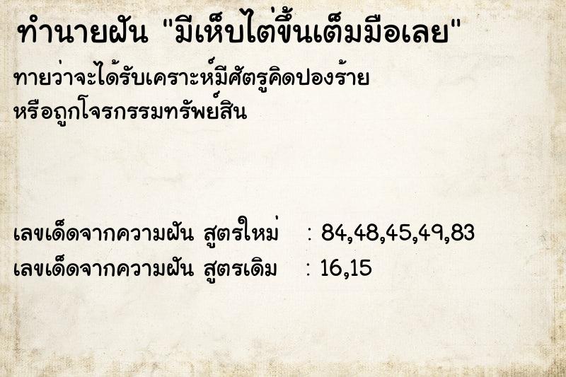 ทำนายฝันทำนายฝันมีเห็บไต่ขึ้นเต็มมือเลย