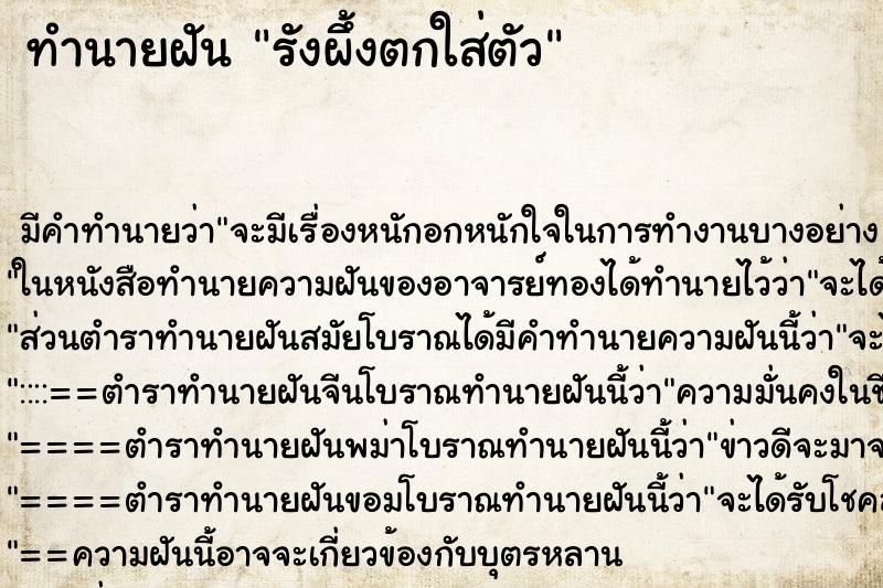 ทำนายฝัน รังผึ้งตกใส่ตัว ทำนายฝัน รังผึ้งตกใส่ตัว