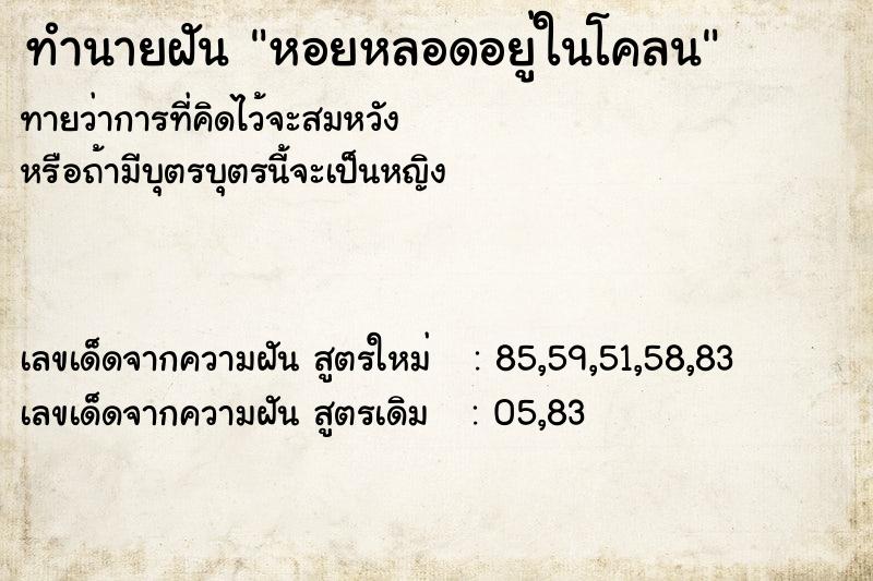 ทำนายฝันทำนายฝันหอยหลอดอยู่ในโคลน
