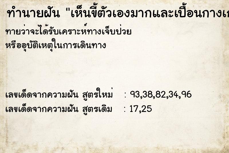 ทำนายฝันทำนายฝันเห็นขี้ตัวเองมากและเปื้อนกางเกงใน