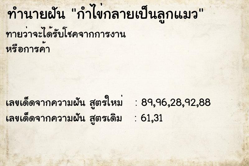 ทำนายฝันกำไข่กลายเป็นลูกแมว ทำนายฝันทำนายฝันกำไข่กลายเป็นลูกแมว