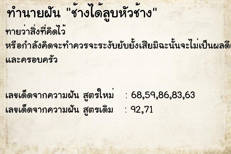 ทำนายฝันช้างได้ลูบหัวช้าง ทำนายฝันทำนายฝันช้างได้ลูบหัวช้าง