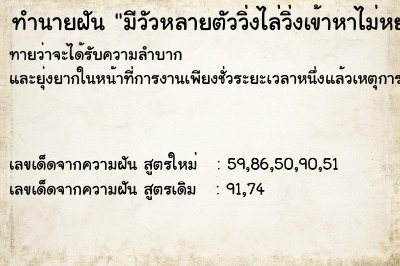 ทำนายฝันมีวัวหลายตัววิ่งไล่วิ่งเข้าหาไม่หยุด ทำนายฝันทำนายฝันมีวัวหลายตัววิ่งไล่วิ่งเข้าหาไม่หยุด