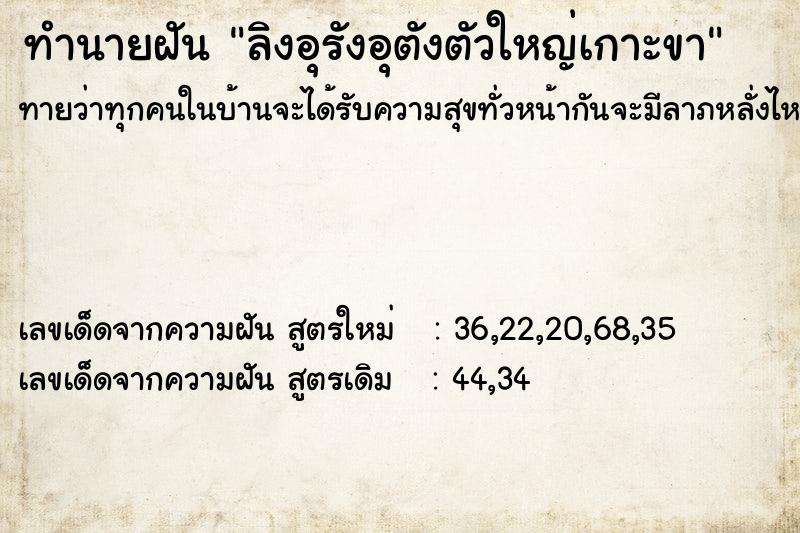 ทำนายฝันทำนายฝันลิงอุรังอุตังตัวใหญ่เกาะขา