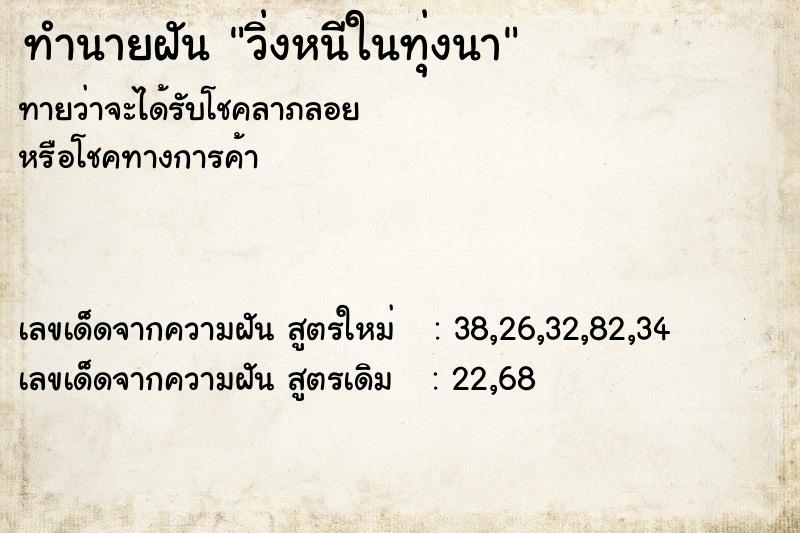 ทำนายฝันวิ่งหนีในทุ่งนา ทำนายฝันทำนายฝันวิ่งหนีในทุ่งนา