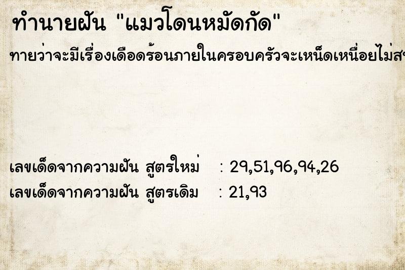 ทำนายฝันทำนายฝันแมวโดนหมัดกัด