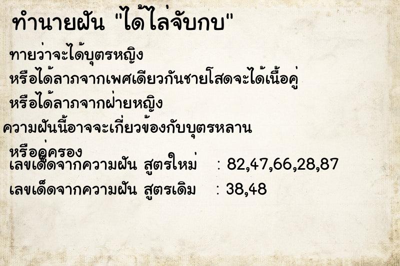 ทำนายฝันทำนายฝันได้ไล่จับกบ