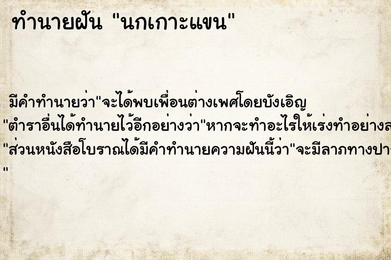 ทำนายฝัน นกเกาะแขน ทำนายฝัน นกเกาะแขน