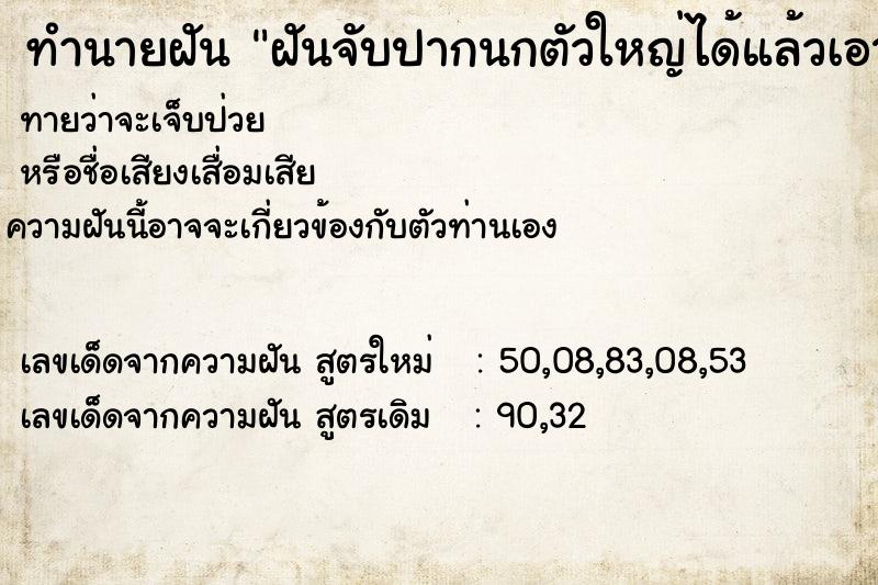 ทำนายฝันฝันจับปากนกตัวใหญ่ได้แล้วเอาไปปล่อย ทำนายฝันทำนายฝันฝันจับปากนกตัวใหญ่ได้แล้วเอาไปปล่อย