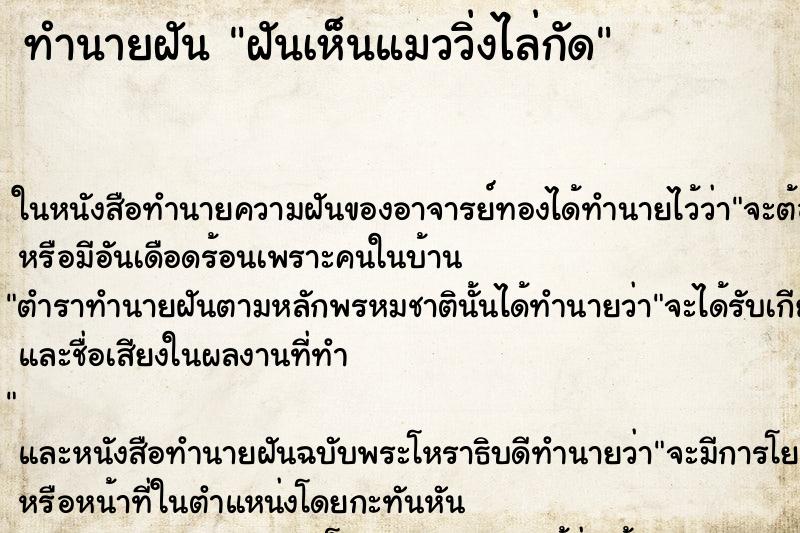 ทำนายฝัน ฝันเห็นแมววิ่งไล่กัด ทำนายฝัน ฝันเห็นแมววิ่งไล่กัด