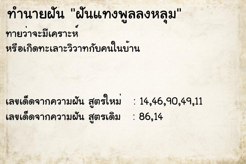 ทำนายฝันทำนายฝันฝันแทงพูลลงหลุม