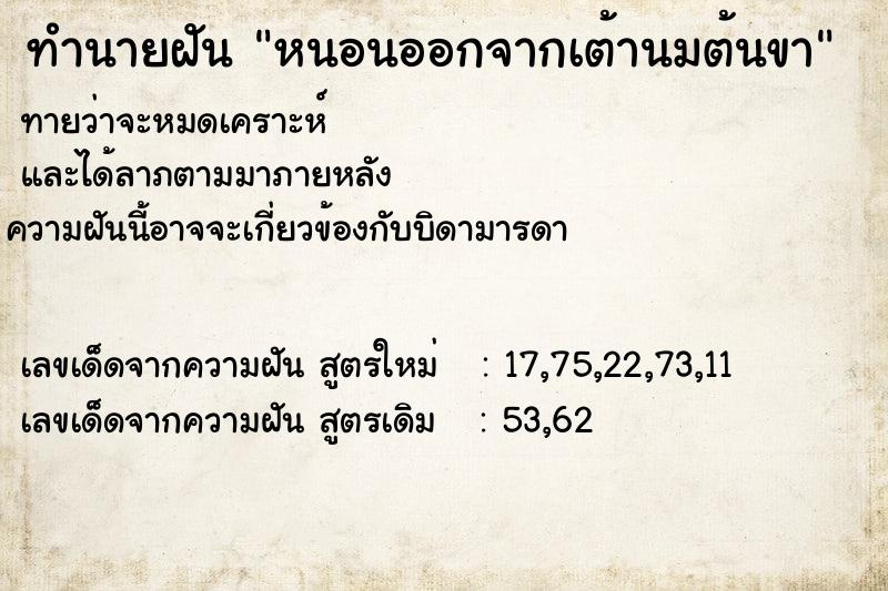 ทำนายฝัน หนอนออกจากเต้านมต้นขา ทำนายฝัน หนอนออกจากเต้านมต้นขา