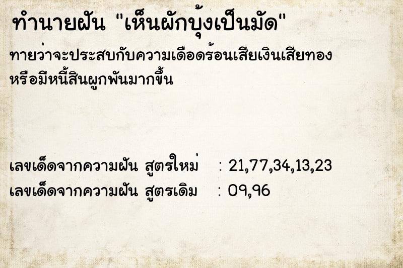 ทำนายฝัน เห็นผักบุ้งเป็นมัด ทำนายฝัน เห็นผักบุ้งเป็นมัด
