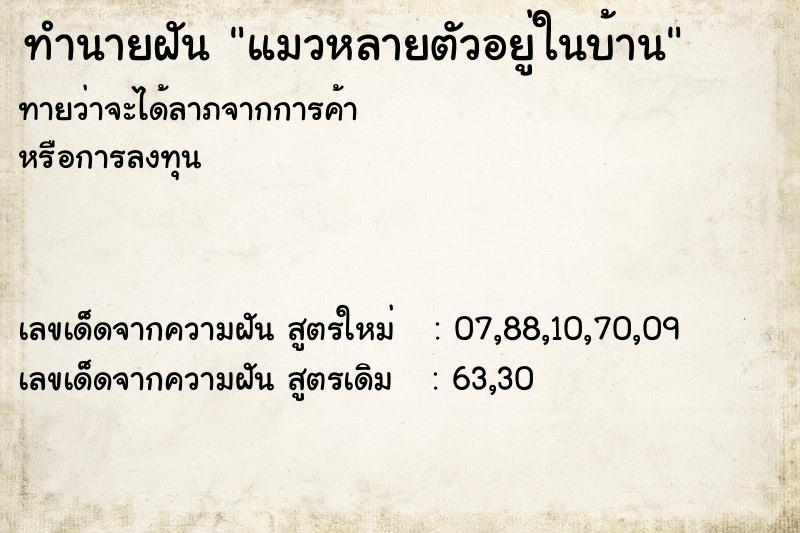 ทำนายฝันแมวหลายตัวอยู่ในบ้าน ทำนายฝันทำนายฝันแมวหลายตัวอยู่ในบ้าน