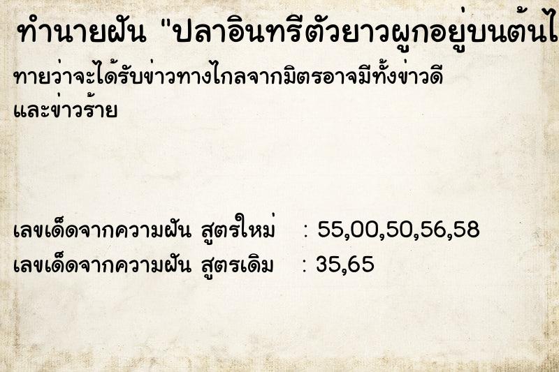 ทำนายฝันทำนายฝันปลาอินทรีตัวยาวผูกอยู่บนต้นไม้2ตัว