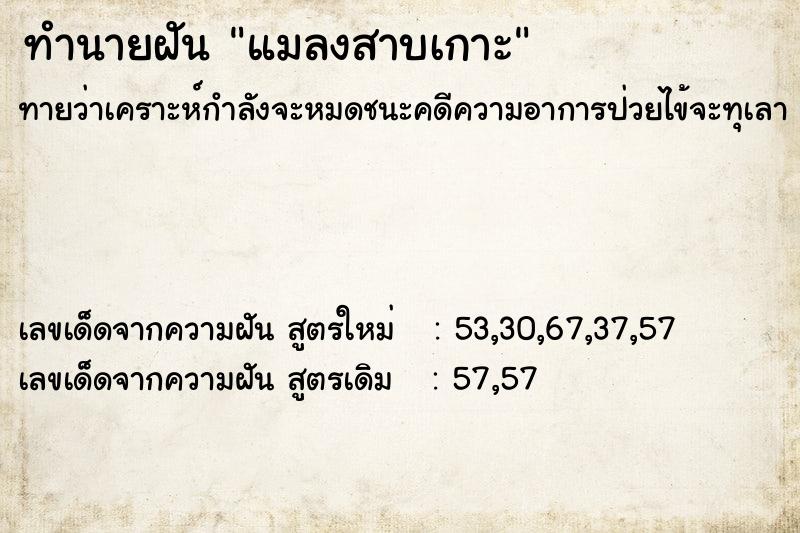 ทำนายฝันทำนายฝันแมลงสาบเกาะ