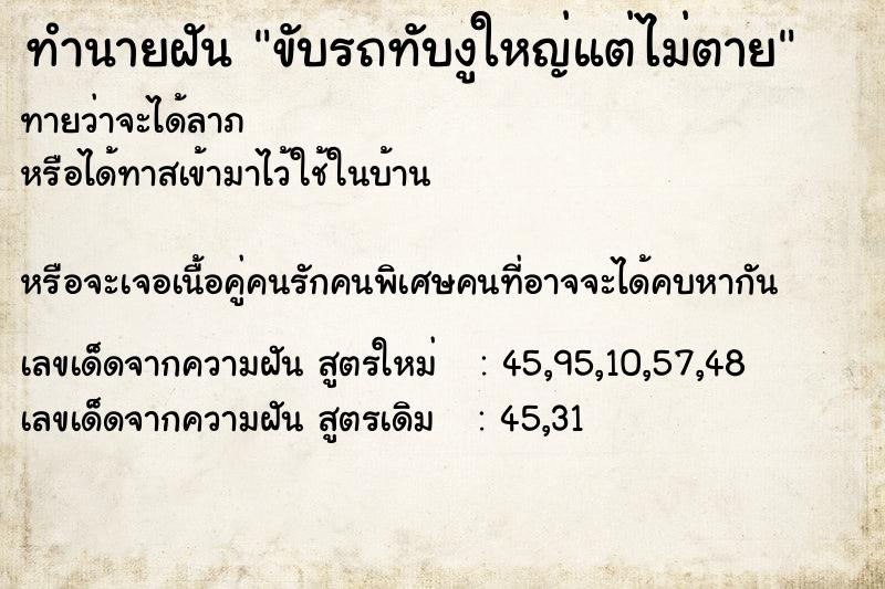 ทำนายฝันทำนายฝันขับรถทับงูใหญ่แต่ไม่ตาย