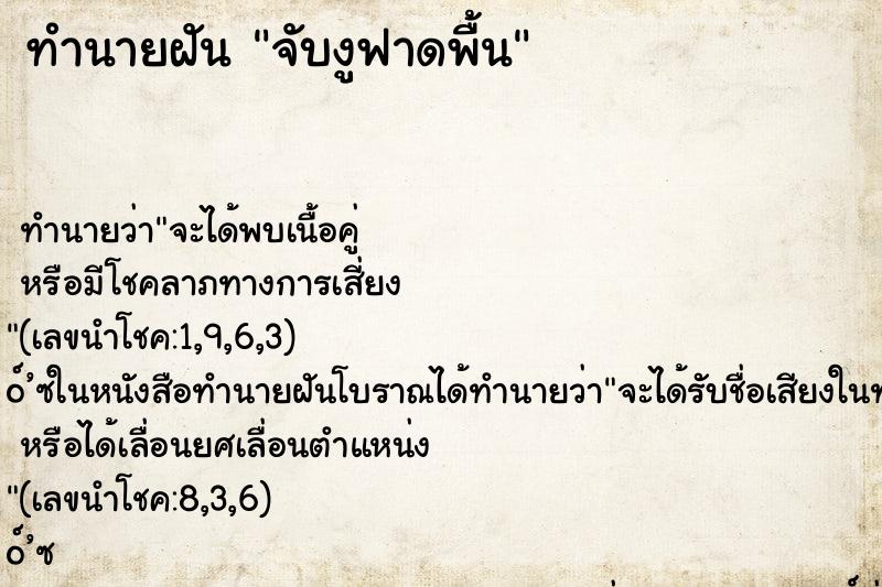 ทำนายฝัน จับงูฟาดพื้น