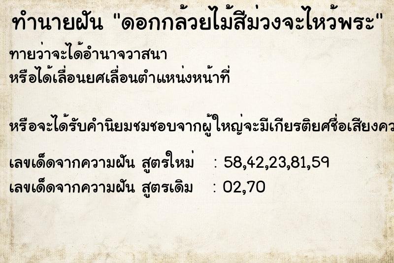 ทำนายฝันดอกกล้วยไม้สีม่วงจะไหว้พระ ทำนายฝันทำนายฝันดอกกล้วยไม้สีม่วงจะไหว้พระ