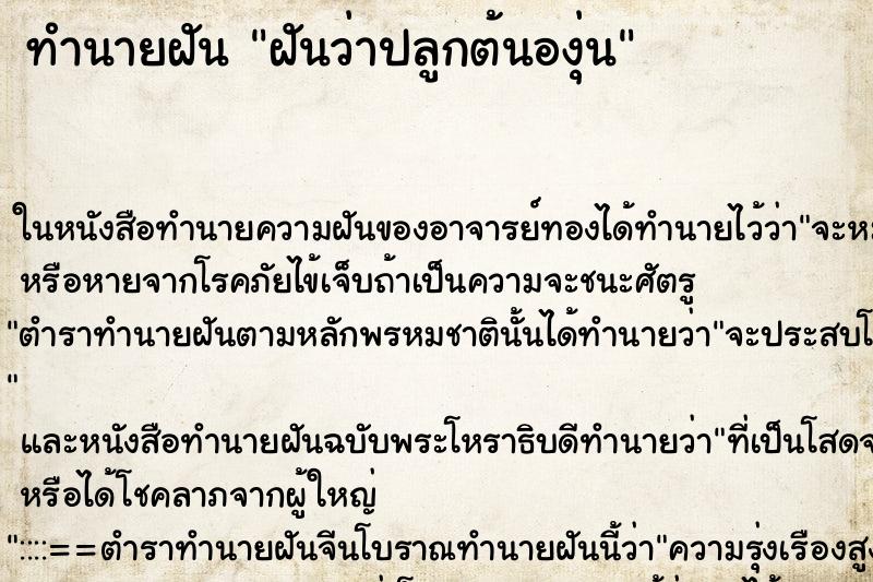 ทำนายฝันทำนายฝันฝันว่าปลูกต้นองุ่น