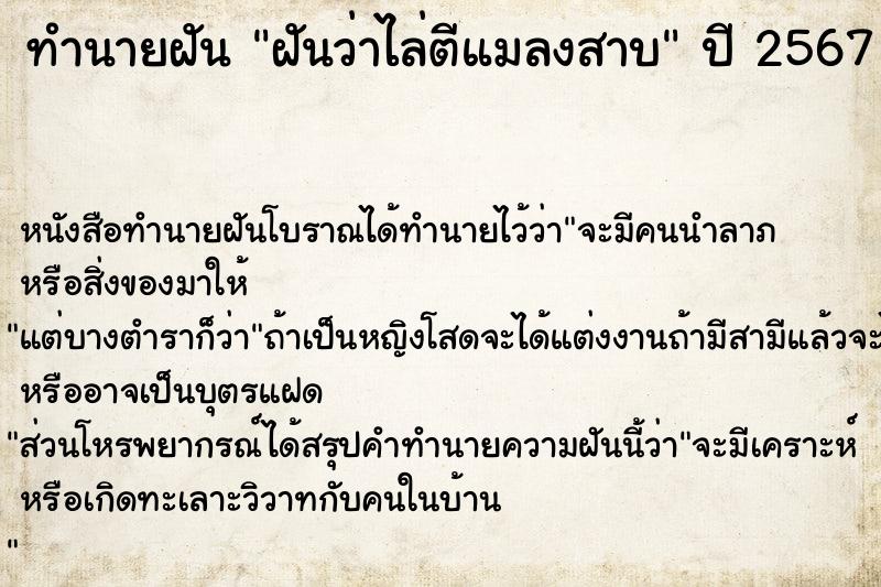 ทำนายฝัน ฝันว่าไล่ตีแมลงสาบ ทำนายฝัน ฝันว่าไล่ตีแมลงสาบ