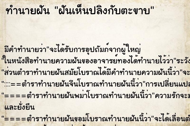 ทำนายฝันฝันเห็นปลิงกับตะขาบ ทำนายฝันทำนายฝันฝันเห็นปลิงกับตะขาบ