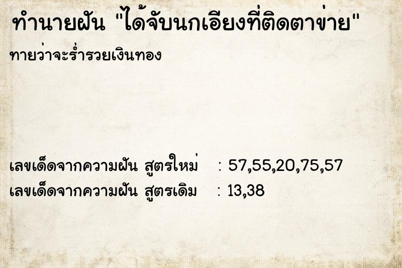 ทำนายฝันทำนายฝันได้จับนกเอียงที่ติดตาข่าย