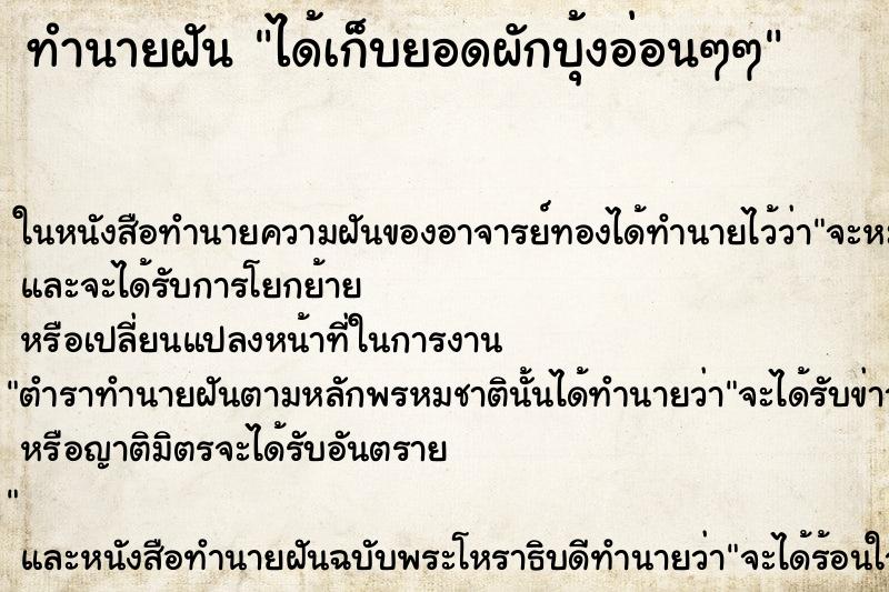 ทำนายฝัน ได้เก็บยอดผักบุ้งอ่อนๆๆ ทำนายฝัน ได้เก็บยอดผักบุ้งอ่อนๆๆ