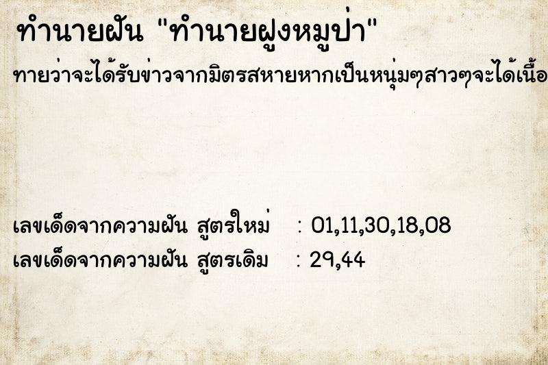 ทำนายฝันทำนายฝันทำนายฝูงหมูป่า