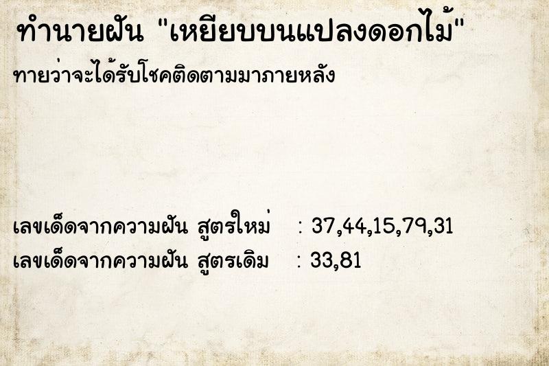 ทำนายฝันทำนายฝันเหยียบบนแปลงดอกไม้