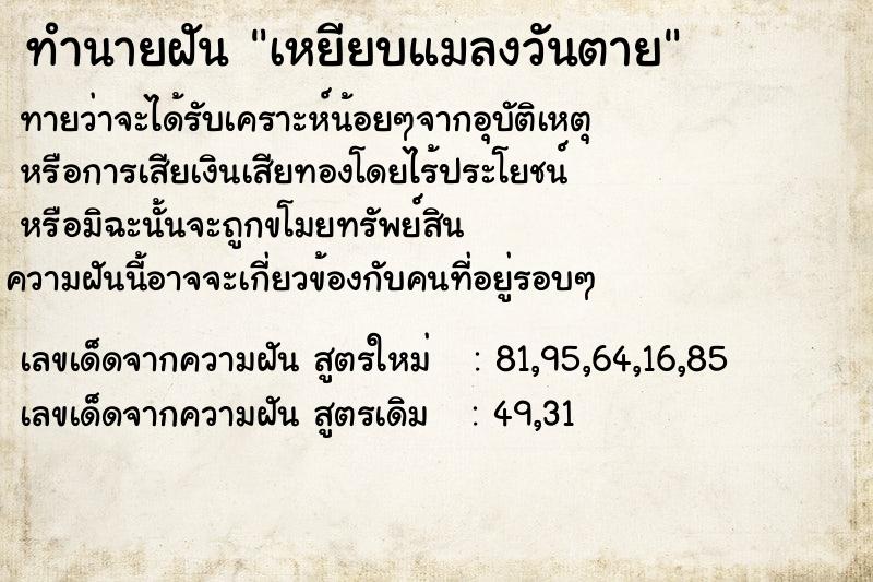 ทำนายฝัน เหยียบแมลงวันตาย