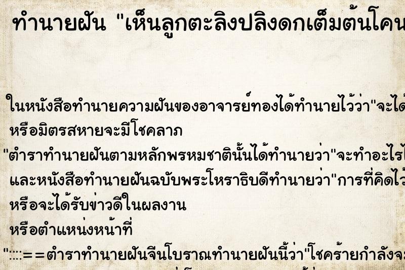 ทำนายฝันทำนายฝันเห็นลูกตะลิงปลิงดกเต็มต้นโคนต้นมีผลใหญ่