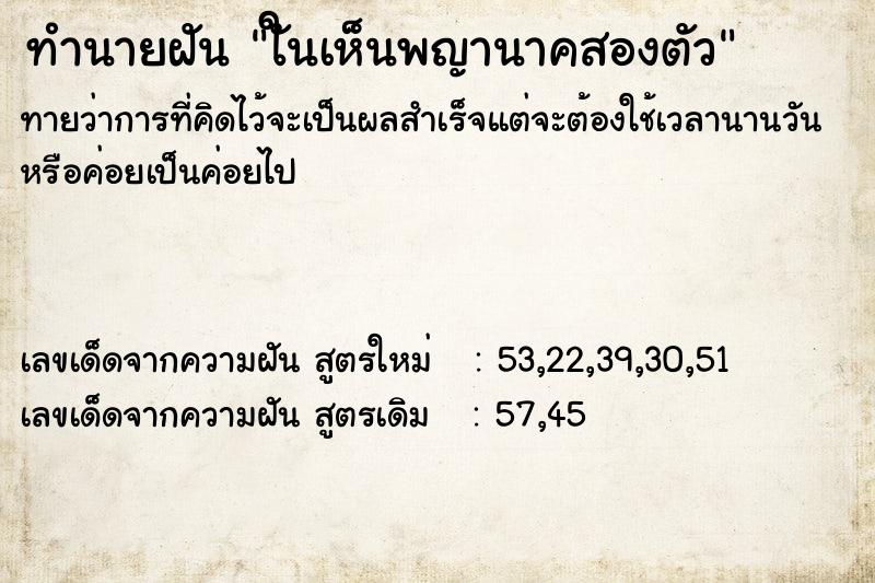 ทำนายฝัน ใันเห็นพญานาคสองตัว ทำนายฝัน ใันเห็นพญานาคสองตัว