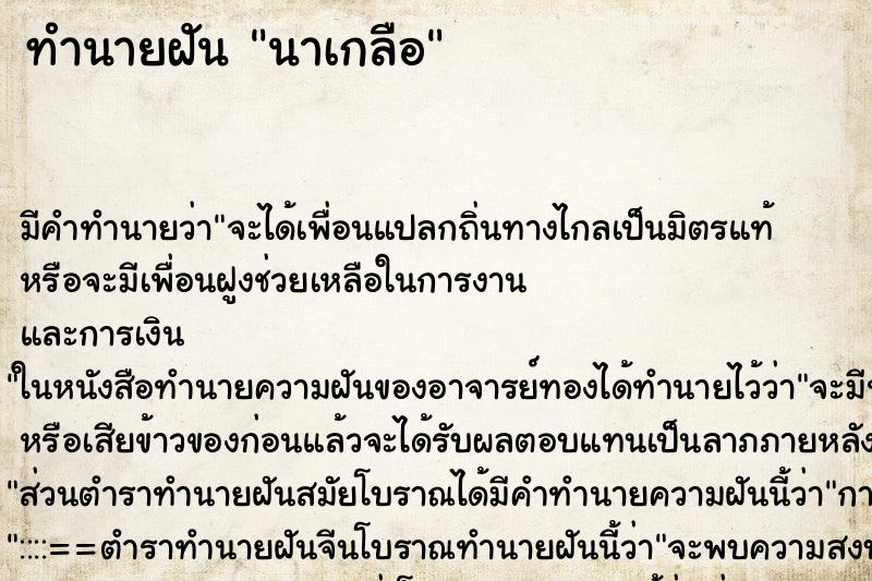ทำนายฝัน นาเกลือ ทำนายฝัน นาเกลือ