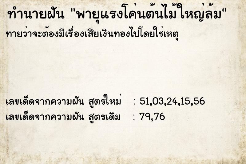 ทำนายฝันพายุแรงโค่นต้นไม้ใหญ่ล้ม ทำนายฝันทำนายฝันพายุแรงโค่นต้นไม้ใหญ่ล้ม
