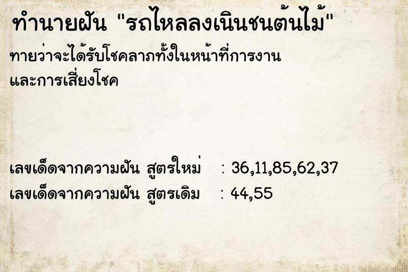 ทำนายฝันรถไหลลงเนินชนต้นไม้ ทำนายฝันทำนายฝันรถไหลลงเนินชนต้นไม้