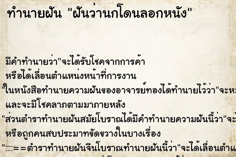 ทำนายฝันฝันว่านกโดนลอกหนัง ทำนายฝันทำนายฝันฝันว่านกโดนลอกหนัง
