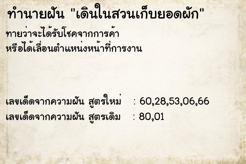 ทำนายฝันทำนายฝันเดินในสวนเก็บยอดผัก