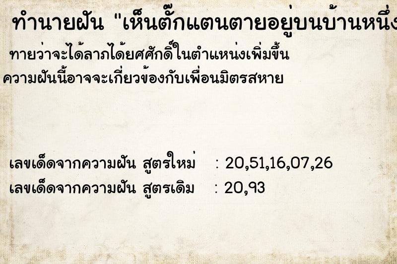 ทำนายฝันเห็นตั๊กแตนตายอยู่บนบ้านหนึ่งตัว ทำนายฝันทำนายฝันเห็นตั๊กแตนตายอยู่บนบ้านหนึ่งตัว
