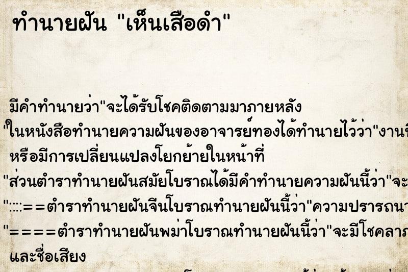 ทำนายฝันเห็นเสือดำ ทำนายฝันทำนายฝันเห็นเสือดำ